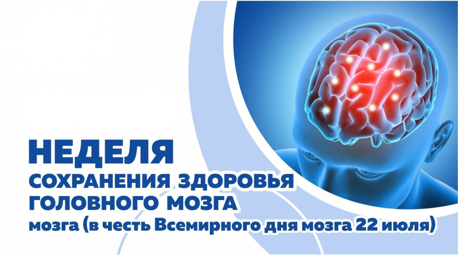 зож мозг