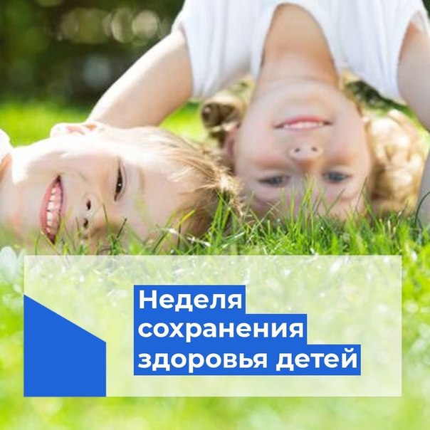 нсзд
